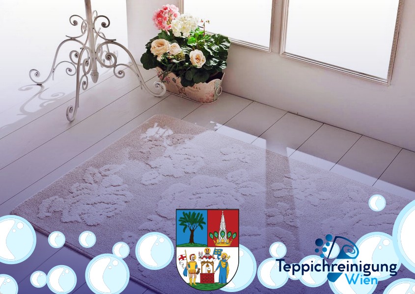 Orientteppiche ohne Seide Reinigung 1040 Wien - Wieden Orientteppiche ohne Seide Reinigung 1040 Wien - Wieden