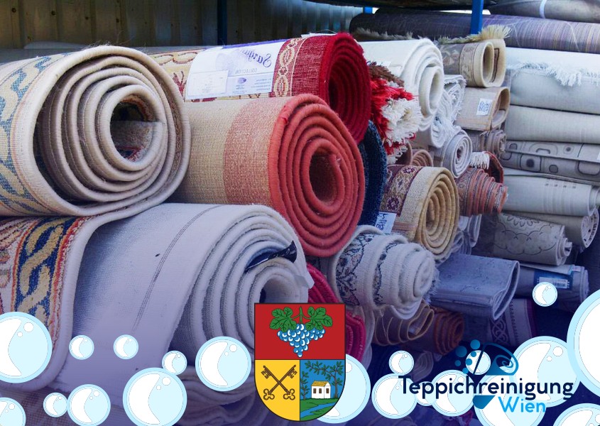 Sisalteppich Reinigung 1170 Wien - Hernals
