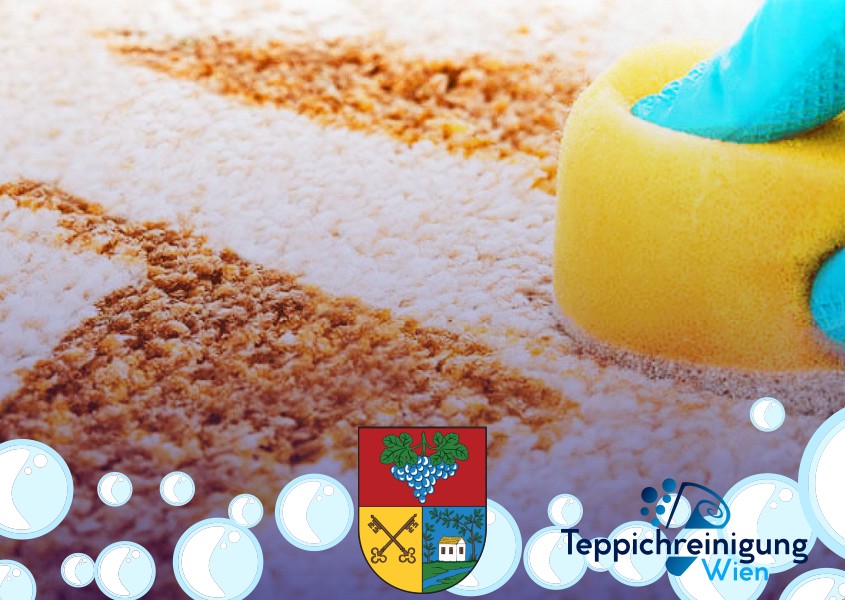 Teppichreinigung Haus 1170 Wien - Hernals Teppichreinigung Haus 1170 Wien - Hernals