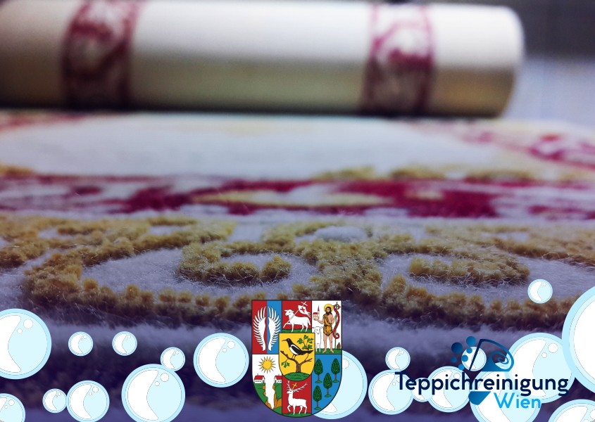 Tiefenreinigung Teppichböden 1090 Wien - Alsergrund Tiefenreinigung Teppichböden 1090 Wien - Alsergrund