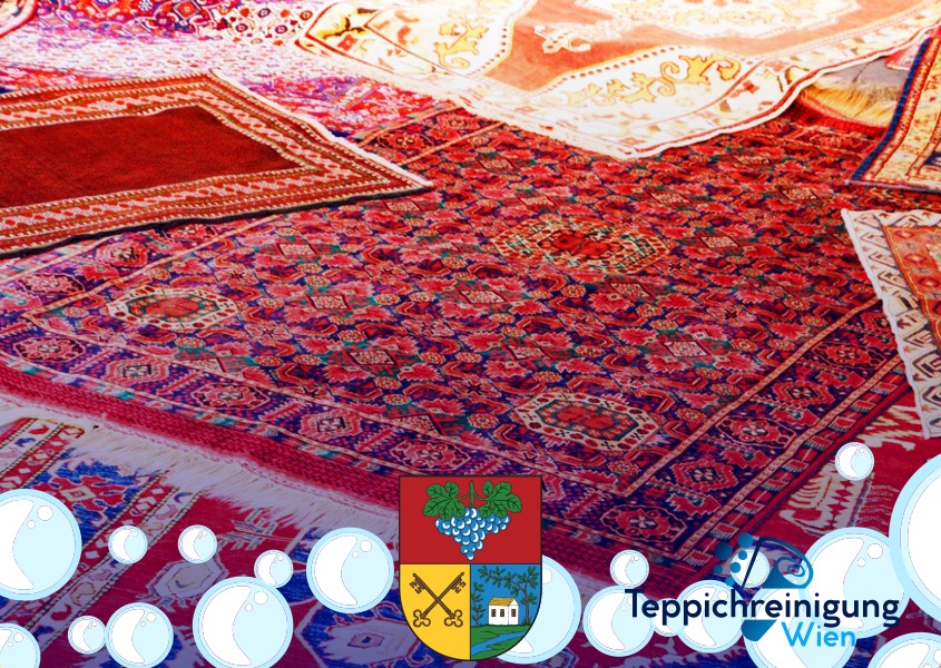 Veloursteppiche Reinigung 1170 Wien - Hernals Veloursteppiche Reinigung 1170 Wien - Hernals