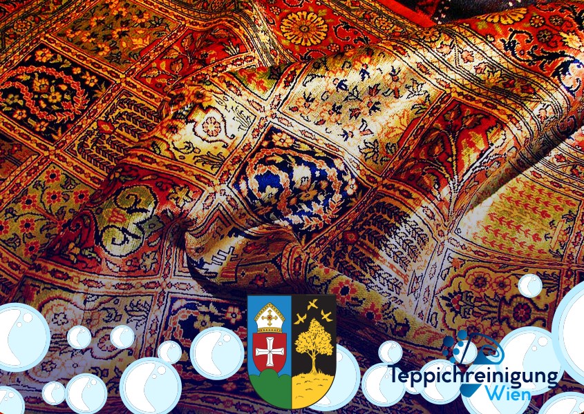 Wohnzimmer Teppichreinigung 1160 Wien - Ottakring Wohnzimmer Teppichreinigung 1160 Wien - Ottakring