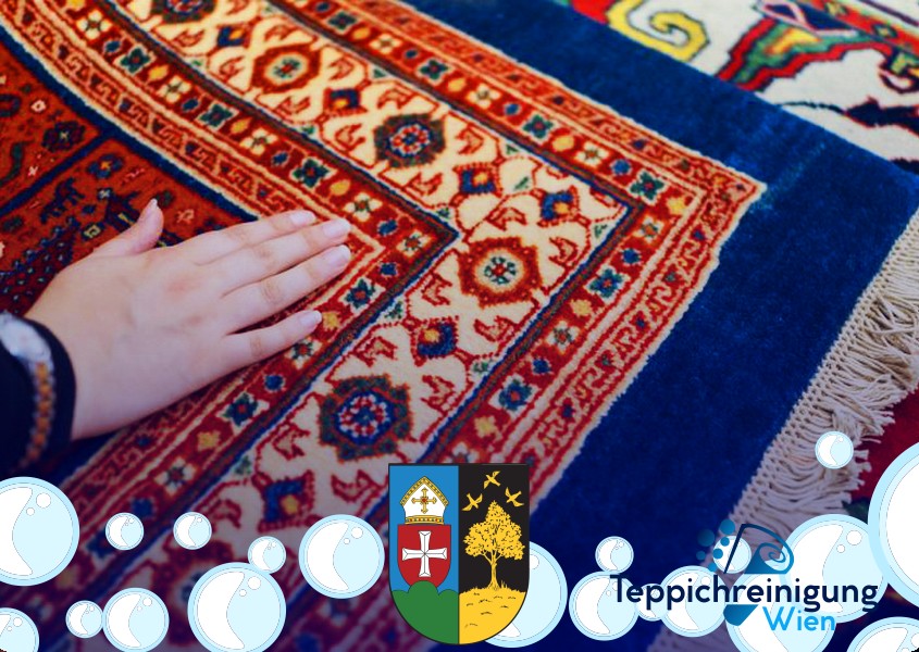 Wollteppich Reinigung 1160 Wien - Ottakring Wollteppich Reinigung 1160 Wien - Ottakring