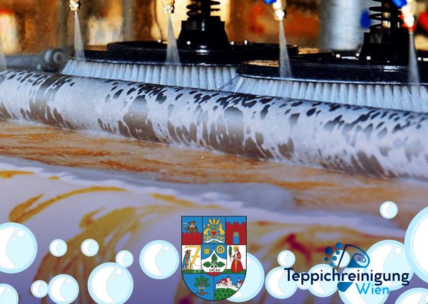 Berberteppich Wäsche 1230 Wien - Liesing