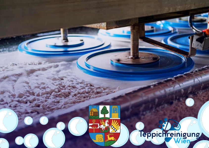 Innen Teppichreinigung 1220 Wien - Donaustadt Innen Teppichreinigung 1220 Wien - Donaustadt