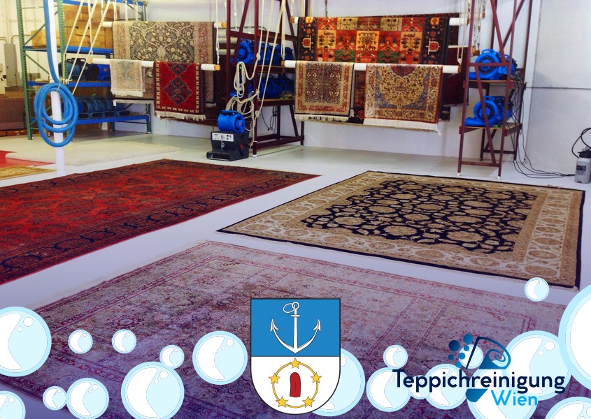 Kunstfaser Teppich Reinigung 1200 Wien - Brigittenau