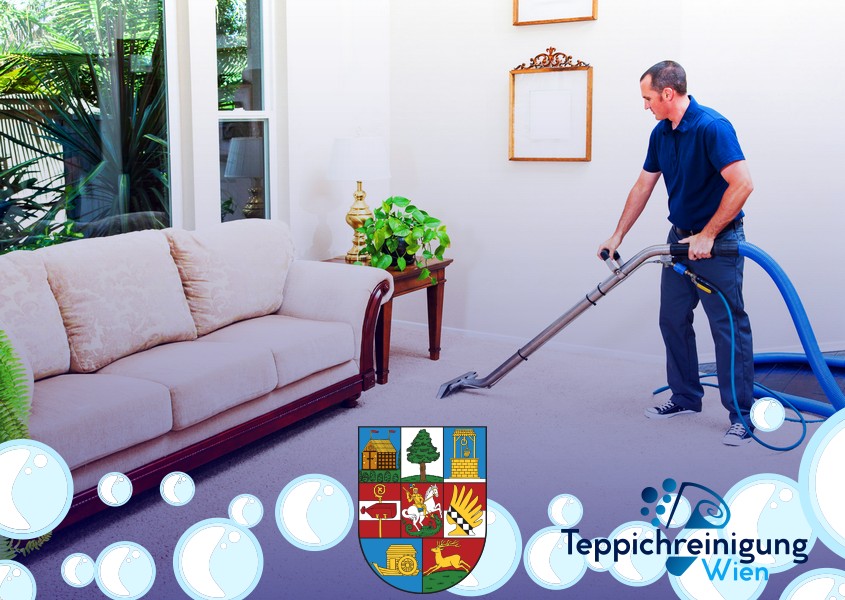 Möbelreinigung 1220 Wien - Donaustadt