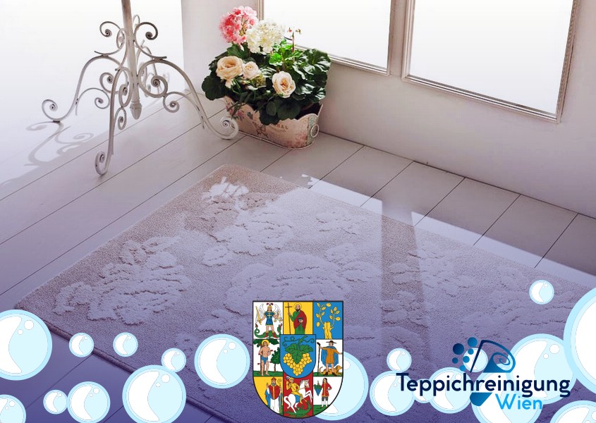 Orientteppiche ohne Seide Reinigung 1190 Wien - Döbling Orientteppiche ohne Seide Reinigung 1190 Wien - Döbling