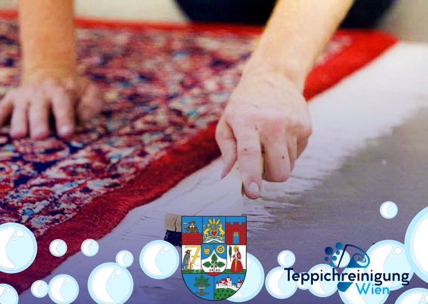 Teppichreinigung Dienstleistungen 1230 Wien - Liesing Teppichreinigung Dienstleistungen 1230 Wien - Liesing