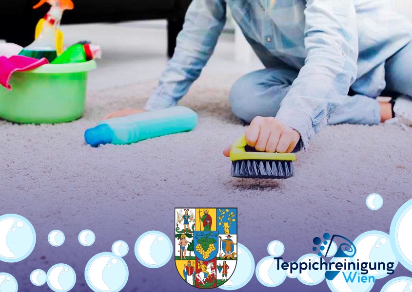 Teppichreinigung Experten 1190 Wien - Döbling Teppichreinigung Experten 1190 Wien - Döbling