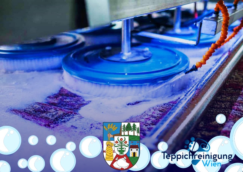 Teppichreinigung Wohnung 1210 Wien - Floridsdorf Teppichreinigung Wohnung 1210 Wien - Floridsdorf