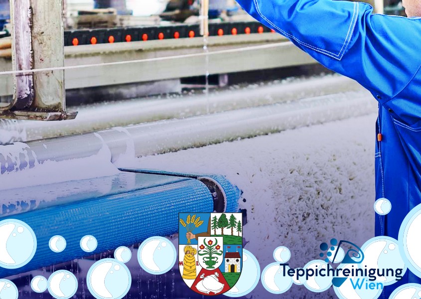 Teppichreinigungsservice 1210 Wien - Floridsdorf Teppichreinigungsservice 1210 Wien - Floridsdorf