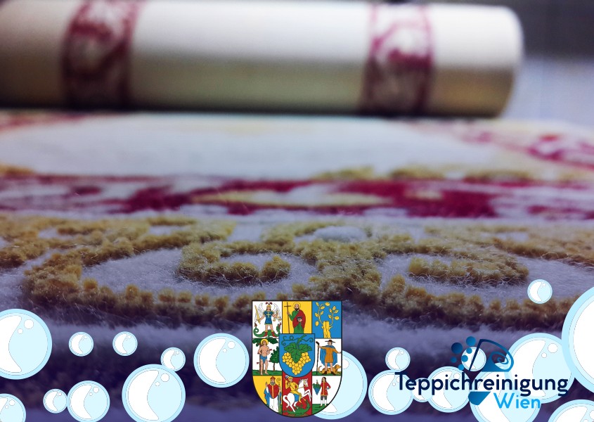 Tiefenreinigung Teppichböden 1190 Wien - Döbling